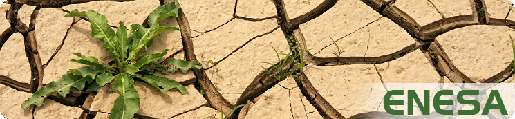 Suelo agrícola reseco por falta de agua