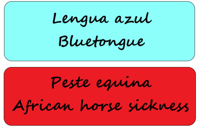 lengua azul
peste equina africana