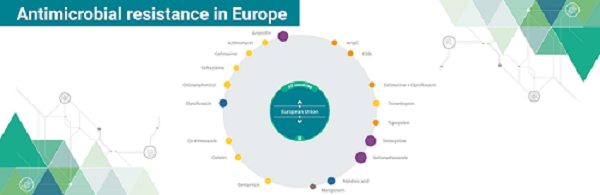 Acceso a web resistencias antimicrobianas en Europa