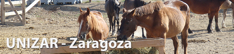 UNIZAR - Zaragoza
