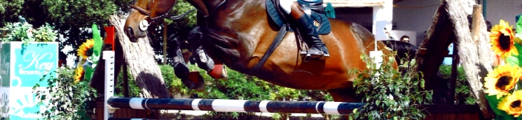 Imagen de Concurso Completo de Equitación (AECCAá)