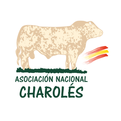 Logotipo de la ASOCIACIÓN NACIONAL DE CRIADORES DE GANADO VACUNO CHAROLÉS DE ESPAÑA