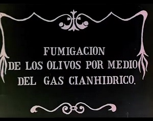 Fumigación olivos gas cianhídrico. Autor: Leandro Navarro. 1914