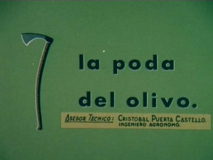 La poda del olivo. Autor: José Neches Nicolás. 1968