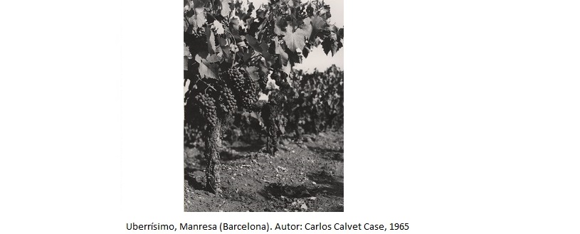 Uberrísimo, Manresa (Barcelona). Autor: Carlos Calvet Case, 1965