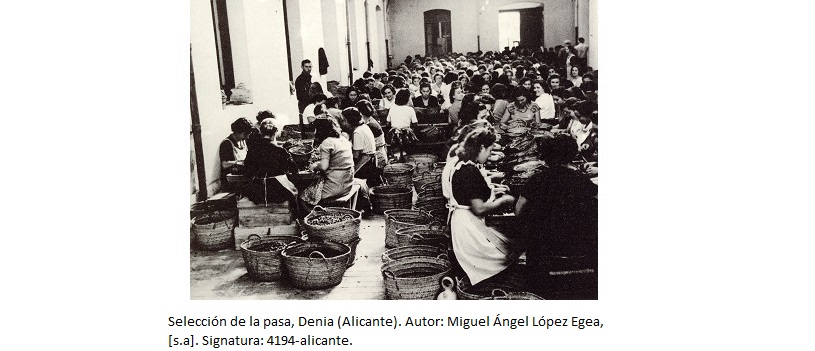 Selección de la pasa, Denia (Alicante). Autor: Miguel Ángel López Egea, [s.a]. Signatura: 4194-alicante.