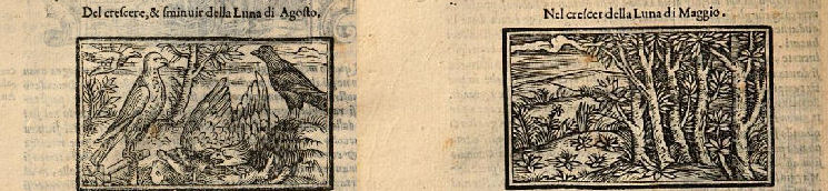 Xilografía de la edición italiana de 1568. Ejemplar de la  Bibliotheque du Palais des arts Ville de Lyon