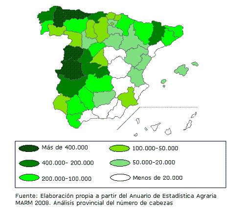 Mapa de España con un análisis por provincias del número de cabezas de ganado bovino de cebo para el año 2008 (fuente MARM), destacan Cáceres, Salamanca, Lugo y Asturias, con más de 400.000 cabezas.
