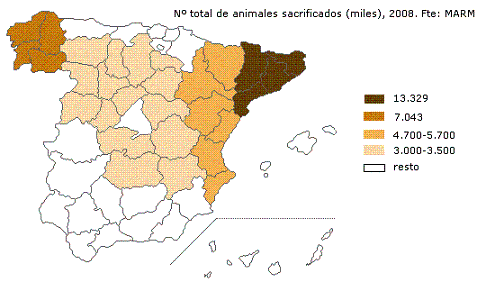 Mapa de España con un análisis por provincias del número total de animales sacrificados para el año 2008 (fuente MARM), en primer lugar destaca Cataluña, con un total de sacrificios de 13.329, y en segundo lugar Galicia con un total de 7.043 sacrificios.
