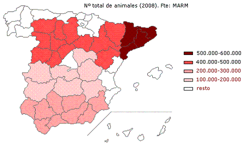 Mapa de España con un análisis comunidades autónomas del número de cabezas de ganado porcino para el año 2008 (fuente MARM), en primer lugar destaca Cataluña, con un total de animales situado entre 500.000 y 600.000, a continuación Castilla y León y Aragón, con valores entre 400.000 y 500.000 cabezas. Las comunidades de Andalucía y Murcia presentan cifras entre 200.000 y 300.000 animales y en cuarto lugar están las comunidades de Extremadura y Castilla La Mancha con valores entre 100.000 y 200.000 animales.
