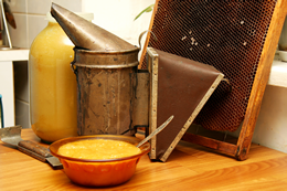 Imagen de panal y recipiente con miel