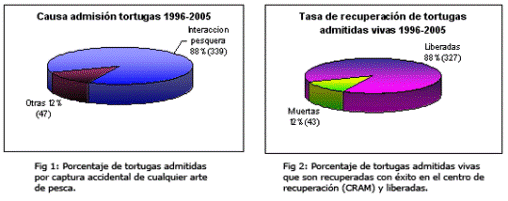 Estudio de la recuperación de las tortugas