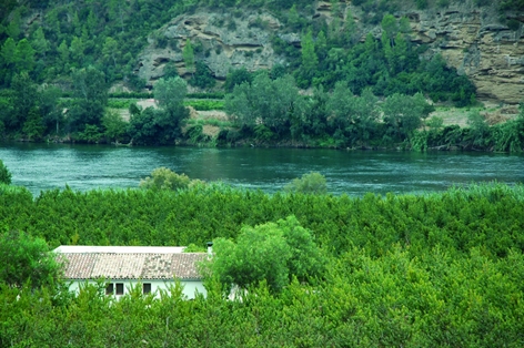 El Ebro discurriendo entre huertas de frutales y paredes rocosas