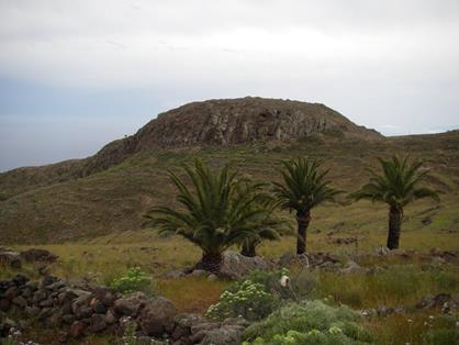 El suave perfil del Roque Redondo destaca en el paisaje de esta parte del camino