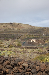 Malpaís y cultivos en Monumento Natural La Corona