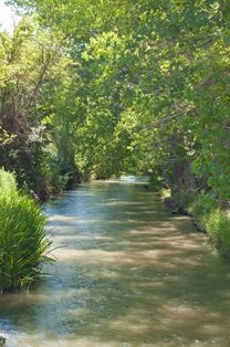 Río Jiloca al final del Tramo de Daroca