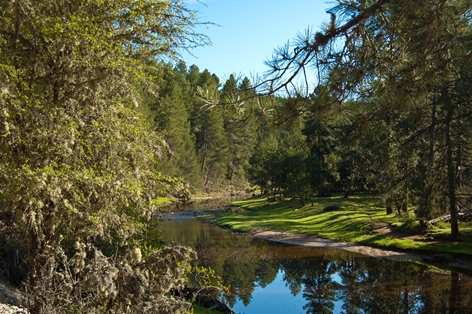 Parque Natural del Cañón del Río Lobos