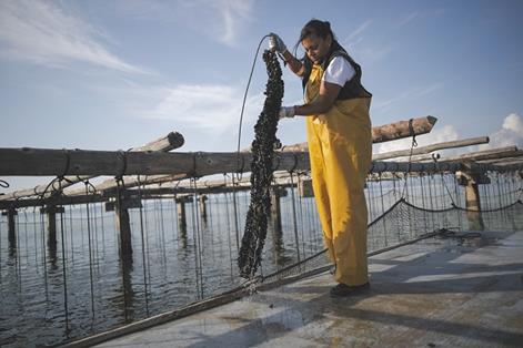 Mujer técnico de cultivo en instalaciones de acuicultura de mar abierto en San Carles de la Rápita 