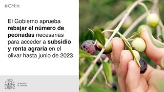 El Gobierno rebaja a 10 el número de peonadas necesarias para acceder a subsidio y renta agraria hasta junio de 2023