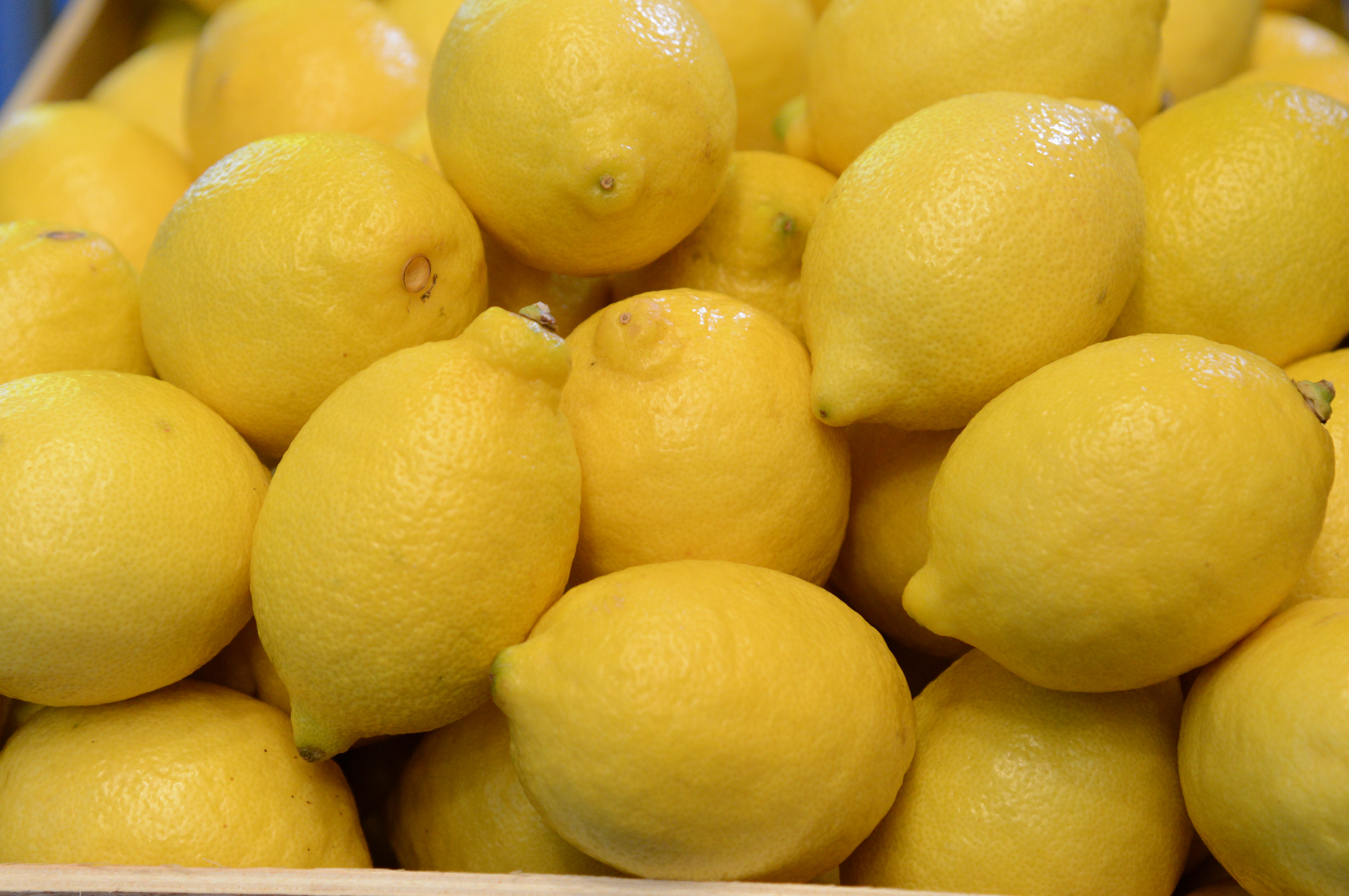 Limones-3