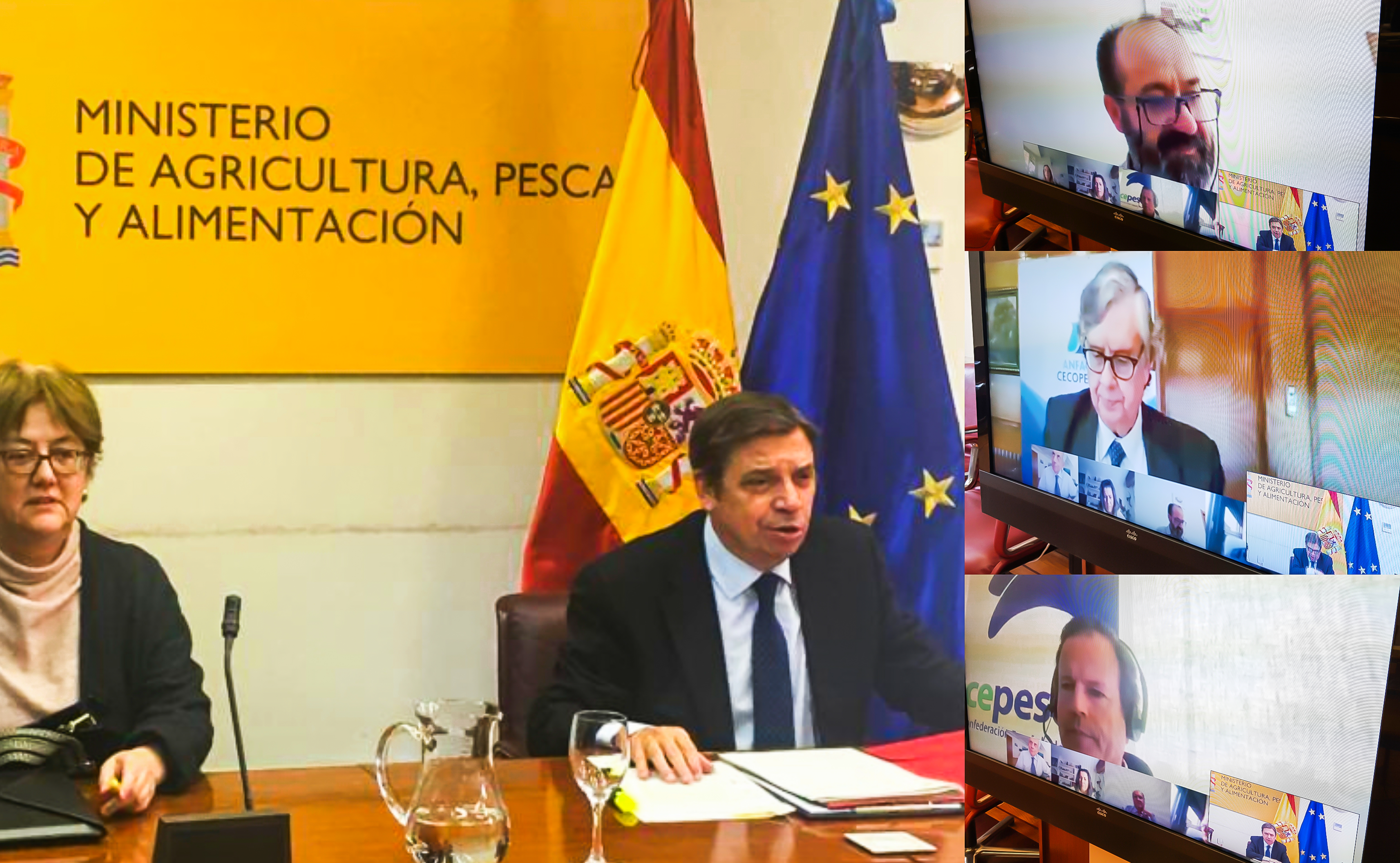 Luis Planas videoconferencia sector pesquero-1