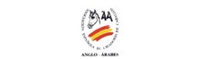 logotipo de la ASOCIACIÓN ESPAÑOLA DE CRIADORES DE CABALLOS ANGLO-ÁRABES