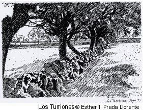 Los Turriones (Zamora)