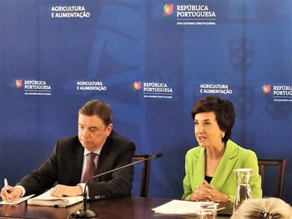 Reunión bilateral del ministro Planas y su homóloga portuguesa foto 3