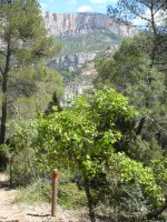 Vistas del camino con la sierra de Montsec al fondo