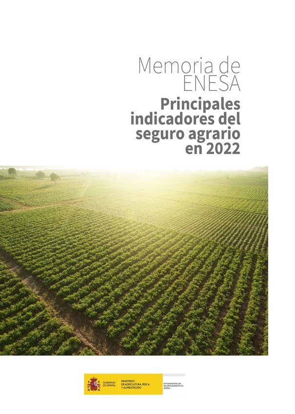 Memoria ENESA 2022