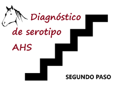 Diagnóstico AHS Segundo Paso