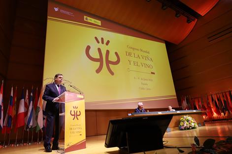 Hoy, en la inauguración del 44º Congreso Mundial de la Viña y el Vino, en Cádiz foto 2
