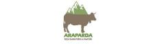 Logotipo ARAPARDA
