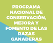 Imagen folleto PN_es