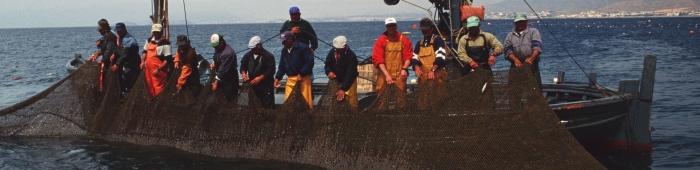 Pescadores almadraba en La Azohía, Murcia