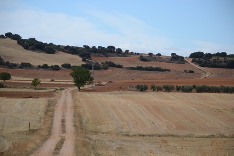 Paisaje de cultivos y monte mediterráneo a la salida de Albaladejo del Cuende