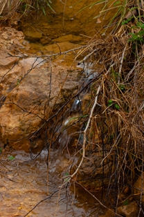 Detalle de curso de agua temporal en el Camino Natural del Júcar