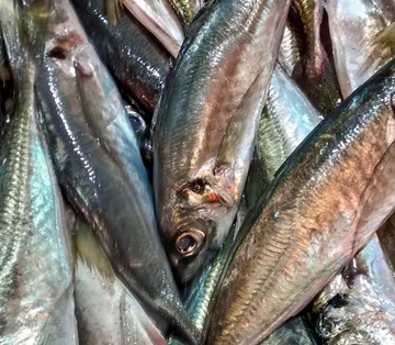 Dentro de los objetivos de la Política Pesquera Común  