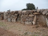Muros característicos de mampostería en seco que delimitan las fincas de la comarca