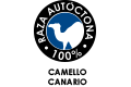 Imagen logotipo camello canario