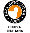 Imagen logotipo Churra Lebrijana