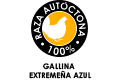 Imagen logotipo gallina extremeña azul