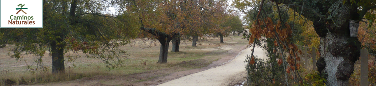 Camino Natural del Paisaje Agrario Sayagués