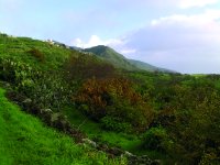Tierras de cultivo con las montañas al fondo en el entorno de Isora