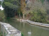 Canal del Duero