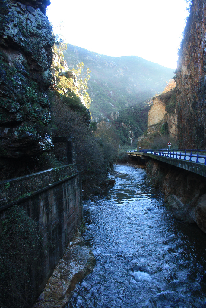 Imagen de la carretera junto al río Pigüeña