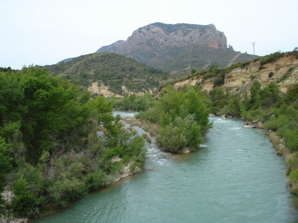 El río Gállego desde la pasarela de Murillo, con la Peña Rueba al fondo