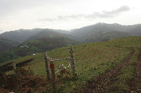 El camino atraviesa los pastos de la Sierra de Santa Flor en dirección sur