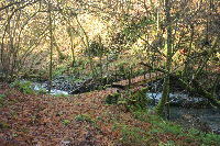 Puente de madera sobre el río Caballos