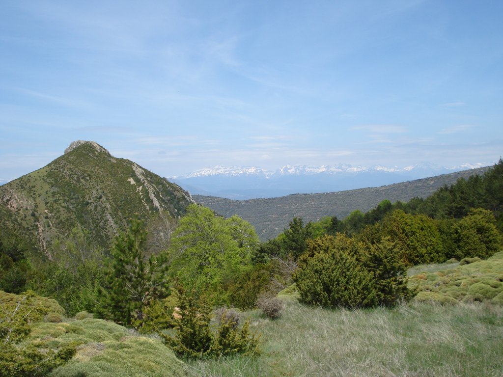 Panorámica de los picos nevados de los Pirineos desde el collado de Sarramiana, con el pico Peiró en primer término